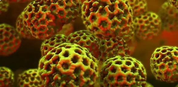NoraVirus 1 Dashing News