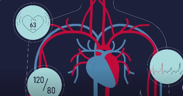 Heart 2 Dashing News