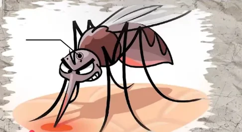 Malaria 1 Dashing News